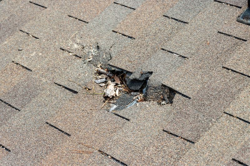 Damaged Roof Replacement in Powder Springs, GA