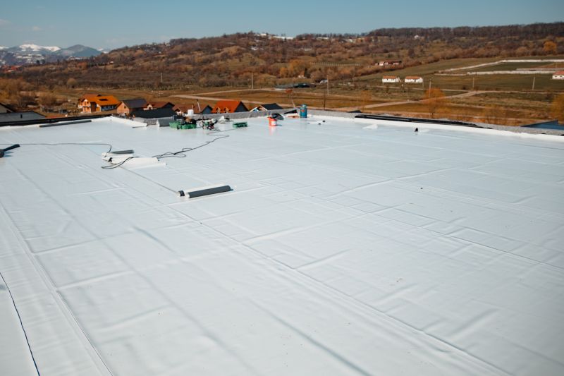 Epdm Roof Installation in Haralson County, GA
