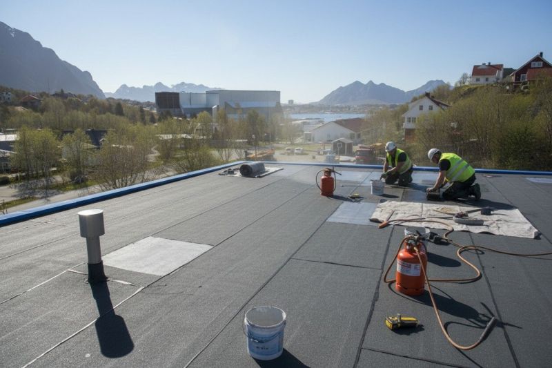 Tpo Roof Replacement in Douglas County, GA
