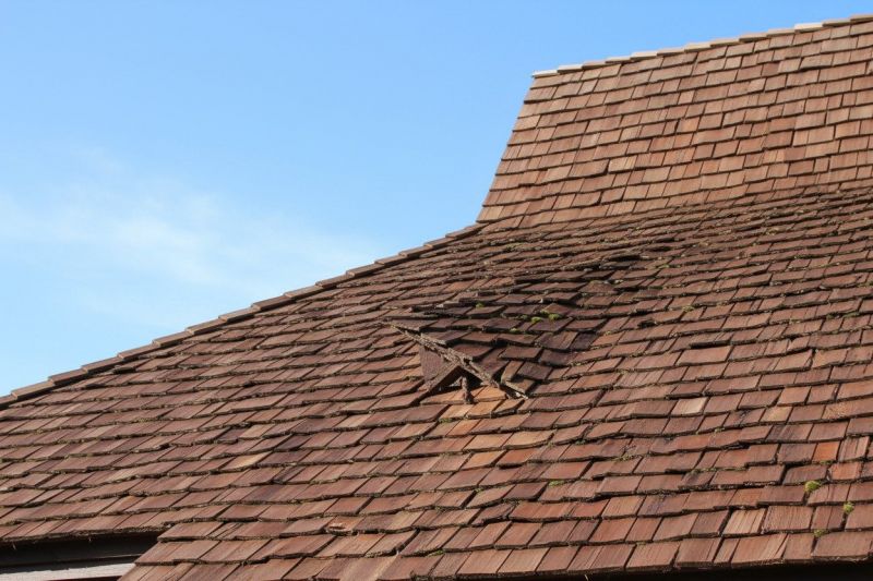 Wood Shake Roof Replacement in Bremen, GA